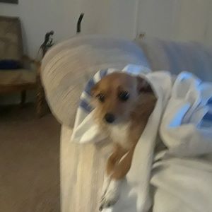 Meet your Posher, Beth